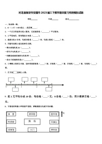 河北省保定市安国市2023届三下数学期末复习检测模拟试题含解析