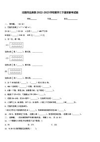 沈阳市法库县2022-2023学年数学三下期末联考试题含解析