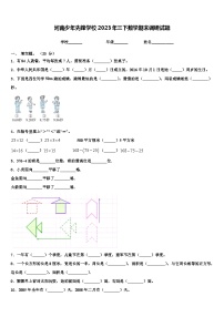 河南少年先锋学校2023年三下数学期末调研试题含解析