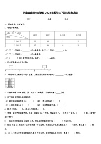 河南省南阳市新野县2023年数学三下期末经典试题含解析