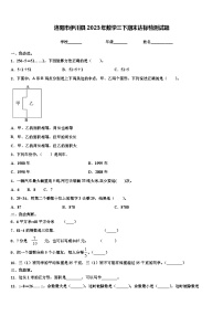 洛阳市伊川县2023年数学三下期末达标检测试题含解析