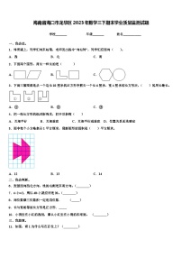 海南省海口市龙华区2023年数学三下期末学业质量监测试题含解析