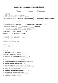 海南省三亚市2023届数学三下期末达标检测试题含解析