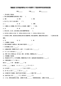 海南省三亚市南沙群岛2023年数学三下期末教学质量检测试题含解析