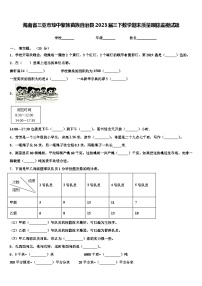 海南省三亚市琼中黎族苗族自治县2023届三下数学期末质量跟踪监视试题含解析