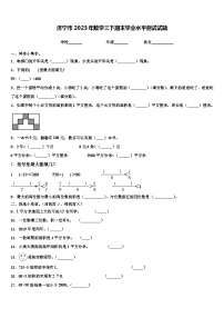 济宁市2023年数学三下期末学业水平测试试题含解析