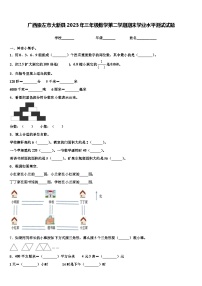 广西崇左市大新县2023年三年级数学第二学期期末学业水平测试试题含解析