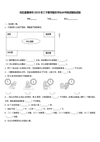 河北省晋州市2023年三下数学期末学业水平测试模拟试题含解析