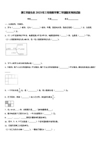 湛江市坡头区2023年三年级数学第二学期期末预测试题含解析