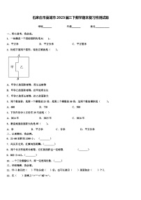 石家庄市藁城市2023届三下数学期末复习检测试题含解析