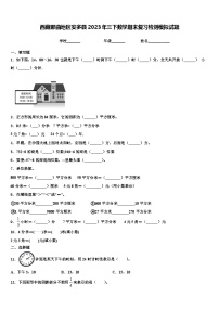 西藏那曲地区安多县2023年三下数学期末复习检测模拟试题含解析