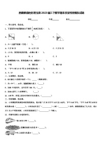 西藏那曲地区班戈县2023届三下数学期末质量检测模拟试题含解析