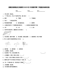 西藏日喀则地区日喀则市2023年三年级数学第二学期期末调研试题含解析