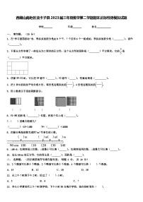 西藏山南地区浪卡子县2023届三年级数学第二学期期末达标检测模拟试题含解析