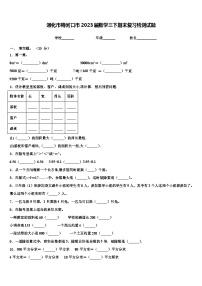 通化市梅河口市2023届数学三下期末复习检测试题含解析