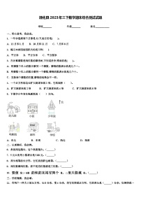 通化县2023年三下数学期末综合测试试题含解析