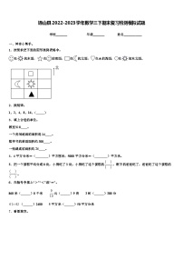 通山县2022-2023学年数学三下期末复习检测模拟试题含解析