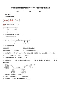 青海省海北藏族自治州刚察县2023年三下数学期末联考试题含解析