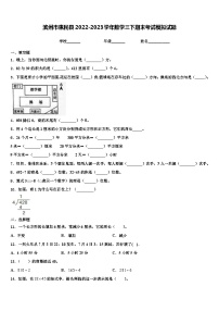 滨州市惠民县2022-2023学年数学三下期末考试模拟试题含解析