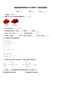 甘肃省定西市临洮县2023年数学三下期末监测试题含解析