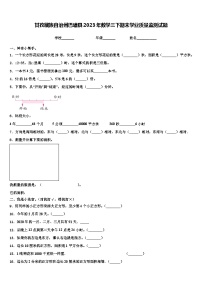 甘孜藏族自治州巴塘县2023年数学三下期末学业质量监测试题含解析