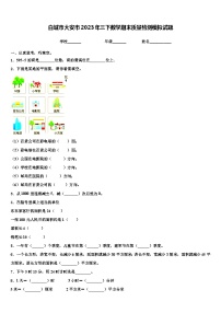 白城市大安市2023年三下数学期末质量检测模拟试题含解析