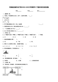 甘肃省白银市会宁县2022-2023学年数学三下期末综合测试试题含解析