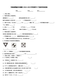 甘肃省陇南市武都区2022-2023学年数学三下期末检测试题含解析