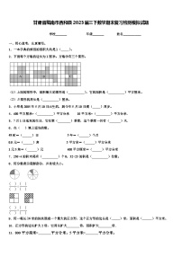 甘肃省陇南市西和县2023届三下数学期末复习检测模拟试题含解析