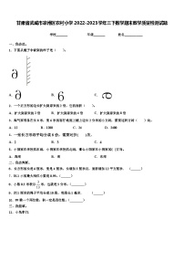 甘肃省武威市凉州区农村小学2022-2023学年三下数学期末教学质量检测试题含解析