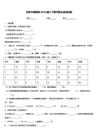 百色市靖西县2023届三下数学期末监测试题含解析