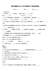 百色市田阳县2022-2023学年数学三下期末预测试题含解析