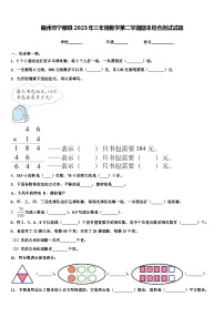 赣州市宁都县2023年三年级数学第二学期期末综合测试试题含解析