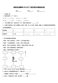 阿里地区措勤县2023年三下数学期末经典模拟试题含解析