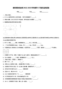 都安瑶族自治县2022-2023学年数学三下期末监测试题含解析