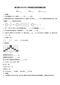 都江堰市2023年三下数学期末达标检测模拟试题含解析