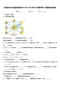 湖北省武汉市汉南区碧桂园小学2022-2023学年三年级数学第二学期期末监测试题含解析