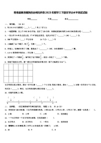 青海省果洛藏族自治州玛多县2023年数学三下期末学业水平测试试题含解析