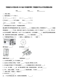 甘肃省天水市清水县2023届三年级数学第二学期期末学业水平测试模拟试题含解析