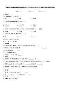 甘肃省甘南藏族自治州玛曲县2022-2023学年数学三下期末学业水平测试试题含解析