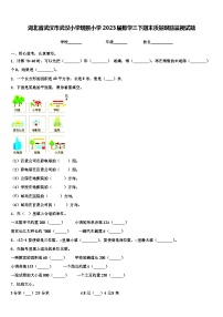 湖北省武汉市武汉小学瑞景小学2023届数学三下期末质量跟踪监视试题含解析