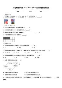 湖北黄冈麻城市2022-2023学年三下数学期末统考试题含解析