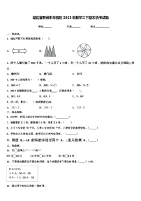 湖北省鄂州市华容区2023年数学三下期末统考试题含解析