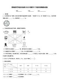 贵州省毕节地区织金县2023年数学三下期末经典模拟试题含解析