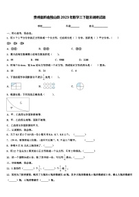 贵州省黔南独山县2023年数学三下期末调研试题含解析