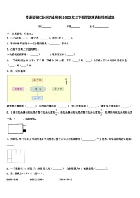 贵州省铜仁地区万山特区2023年三下数学期末达标检测试题含解析