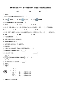 邯郸市大名县2023年三年级数学第二学期期末学业质量监测试题含解析