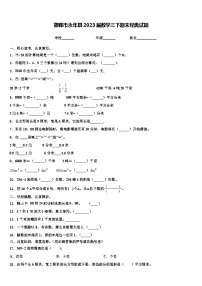 邯郸市永年县2023届数学三下期末经典试题含解析