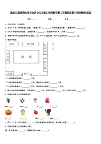 黑龙江省双鸭山市尖山区2023届三年级数学第二学期期末复习检测模拟试题含解析