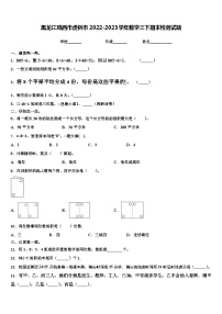 黑龙江鸡西市虎林市2022-2023学年数学三下期末检测试题含解析